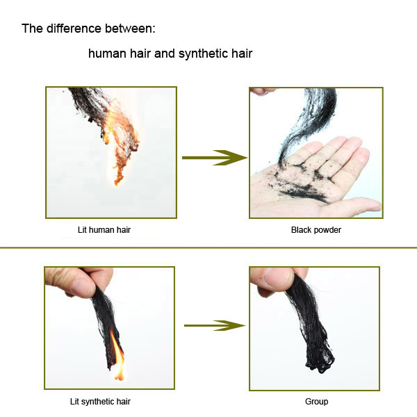 How to test human hair.jpg